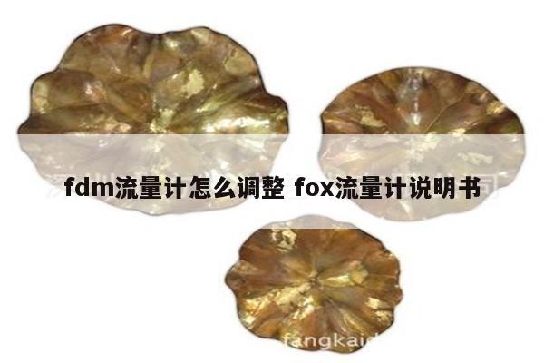 fdm流量计怎么调整 fox流量计说明书