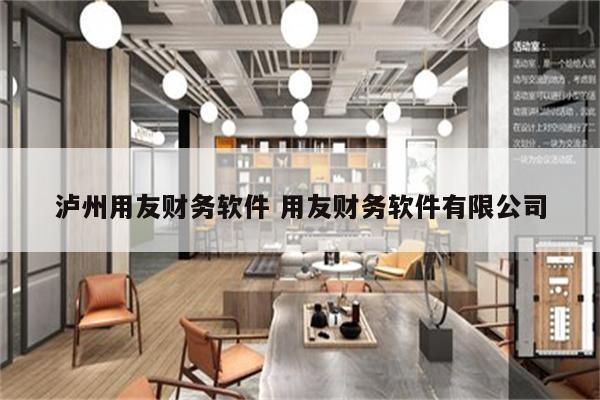 泸州用友财务软件 用友财务软件有限公司