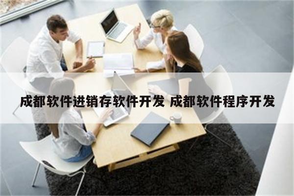 成都软件进销存软件开发 成都软件程序开发