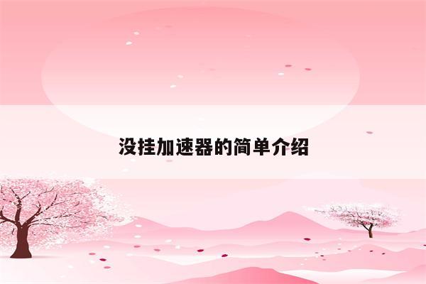 没挂加速器的简单介绍