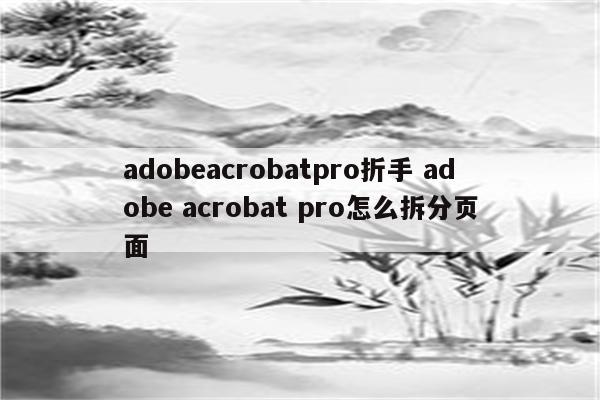 adobeacrobatpro折手 adobe acrobat pro怎么拆分页面