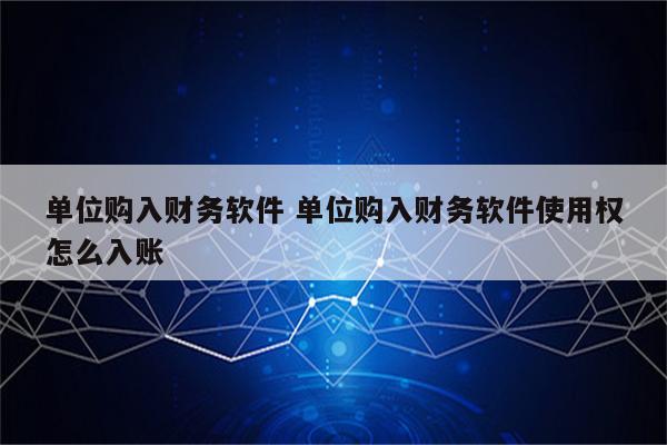 单位购入财务软件 单位购入财务软件使用权怎么入账