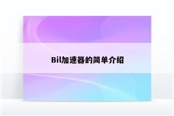 Bil加速器的简单介绍