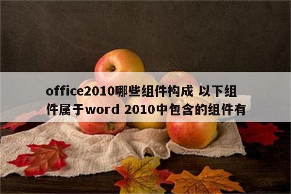 office2010哪些组件构成 以下组件属于word 2010中包含的组件有
