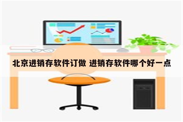 北京进销存软件订做 进销存软件哪个好一点