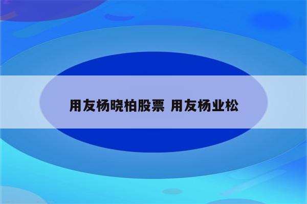 用友杨晓柏股票 用友杨业松
