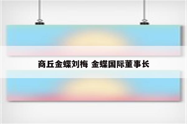 商丘金蝶刘梅 金蝶国际董事长