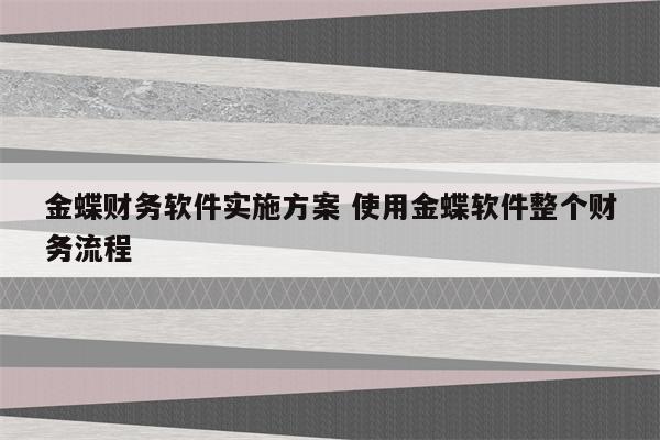 金蝶财务软件实施方案 使用金蝶软件整个财务流程