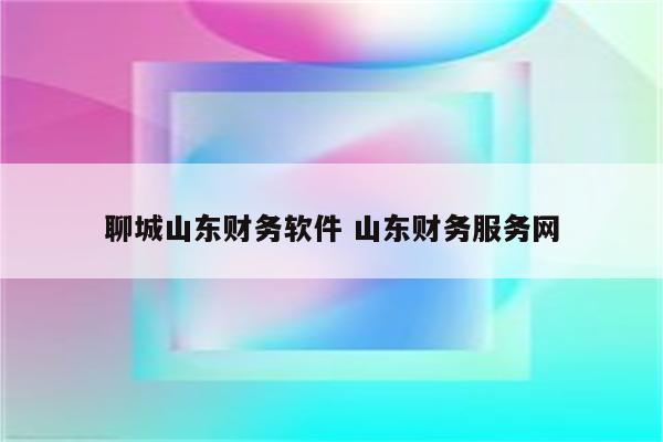 聊城山东财务软件 山东财务服务网