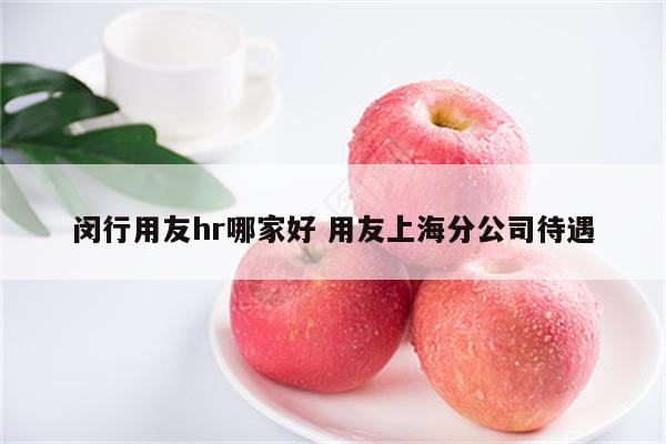 闵行用友hr哪家好 用友上海分公司待遇