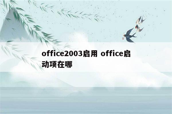 office2003启用 office启动项在哪