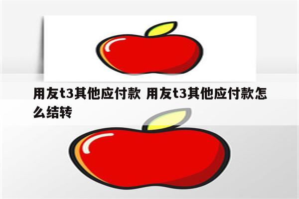 用友t3其他应付款 用友t3其他应付款怎么结转