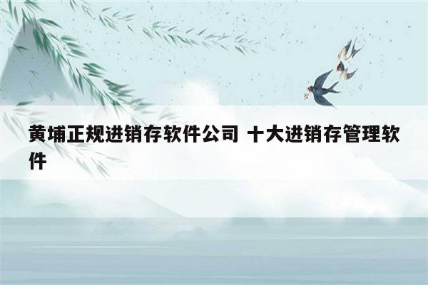 黄埔正规进销存软件公司 十大进销存管理软件