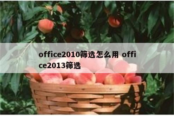 office2010筛选怎么用 office2013筛选