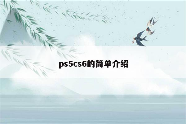 ps5cs6的简单介绍