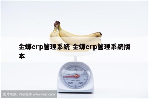 金蝶erp管理系统 金蝶erp管理系统版本