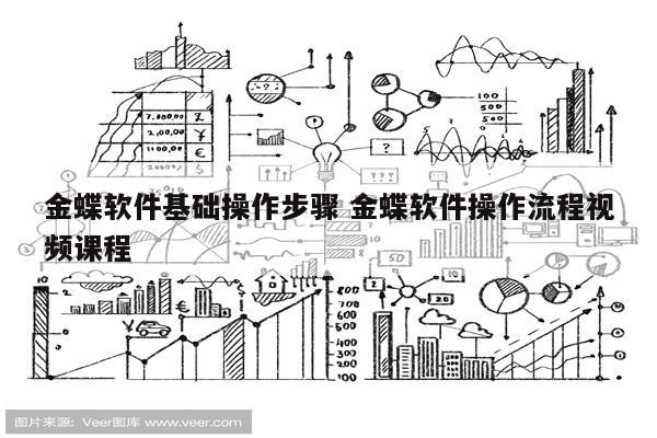 金蝶软件基础操作步骤 金蝶软件操作流程视频课程