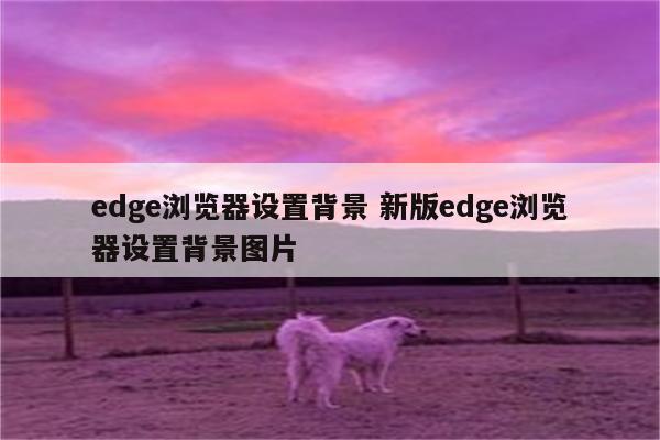 edge浏览器设置背景 新版edge浏览器设置背景图片