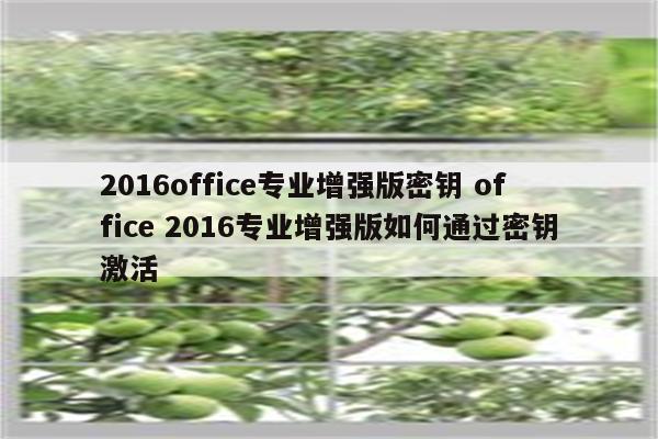 2016office专业增强版密钥 office 2016专业增强版如何通过密钥激活