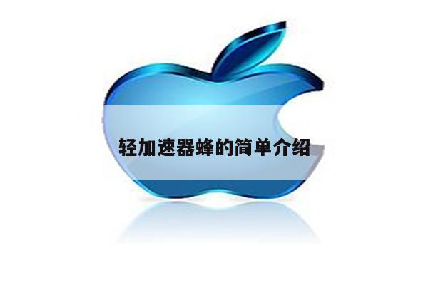 轻加速器蜂的简单介绍