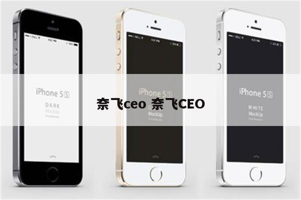 奈飞ceo 奈飞CEO