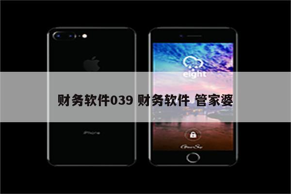 财务软件039 财务软件 管家婆
