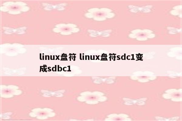linux盘符 linux盘符sdc1变成sdbc1