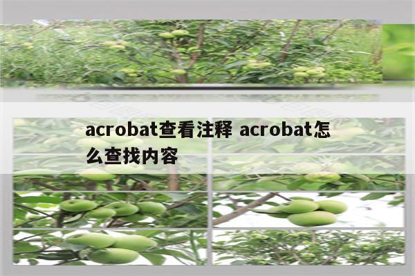 acrobat查看注释 acrobat怎么查找内容