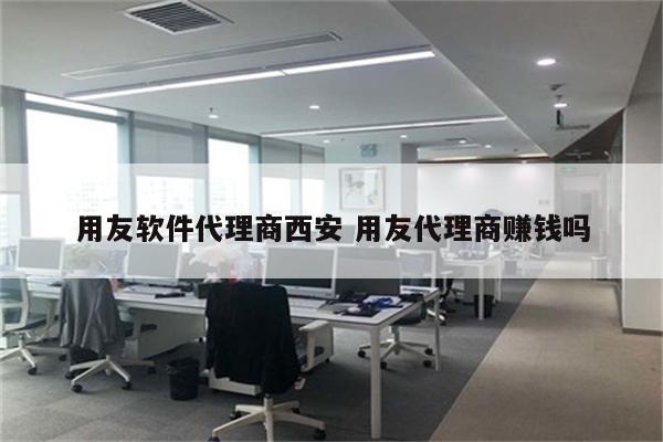 用友软件代理商西安 用友代理商赚钱吗