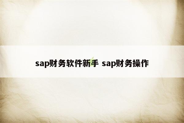 sap财务软件新手 sap财务操作