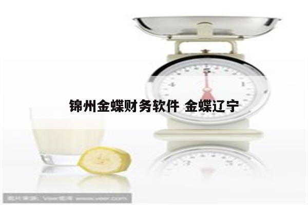 锦州金蝶财务软件 金蝶辽宁