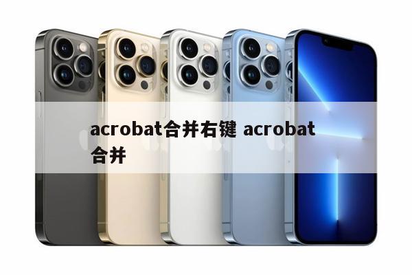 acrobat合并右键 acrobat 合并