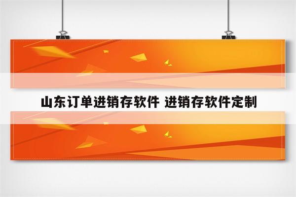 山东订单进销存软件 进销存软件定制