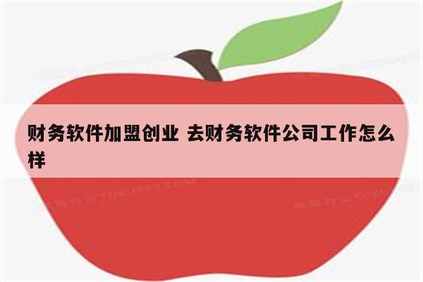 财务软件加盟创业 去财务软件公司工作怎么样