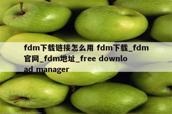 fdm下载链接怎么用 fdm下载_fdm官网_fdm地址_free download manager