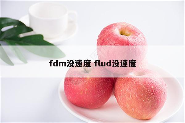 fdm没速度 flud没速度