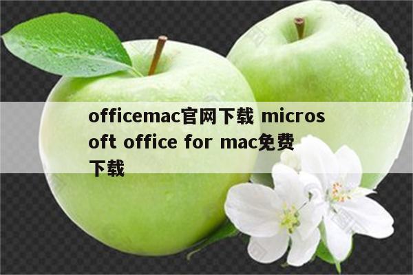 officemac官网下载 microsoft office for mac免费下载