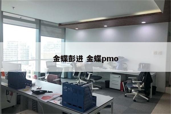金蝶彭进 金蝶pmo