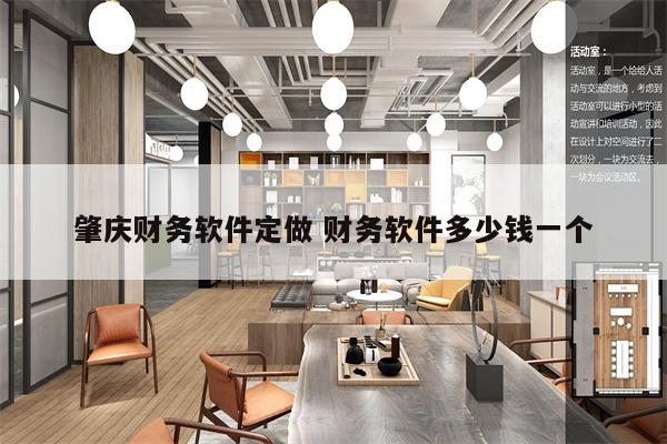肇庆财务软件定做 财务软件多少钱一个