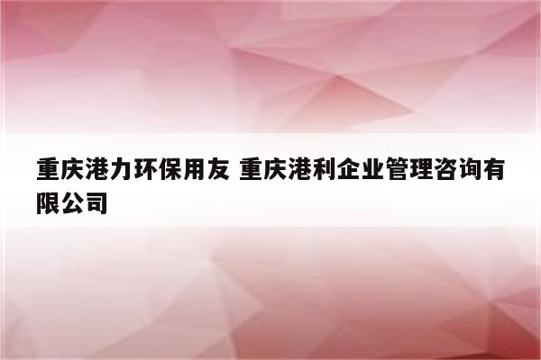 重庆港力环保用友 重庆港利企业管理咨询有限公司