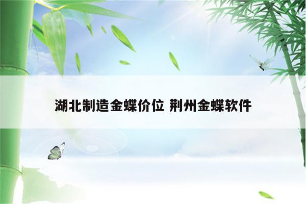 湖北制造金蝶价位 荆州金蝶软件