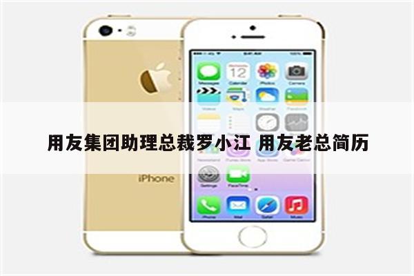 用友集团助理总裁罗小江 用友老总简历
