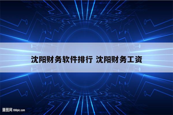 沈阳财务软件排行 沈阳财务工资