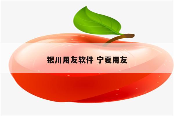 银川用友软件 宁夏用友