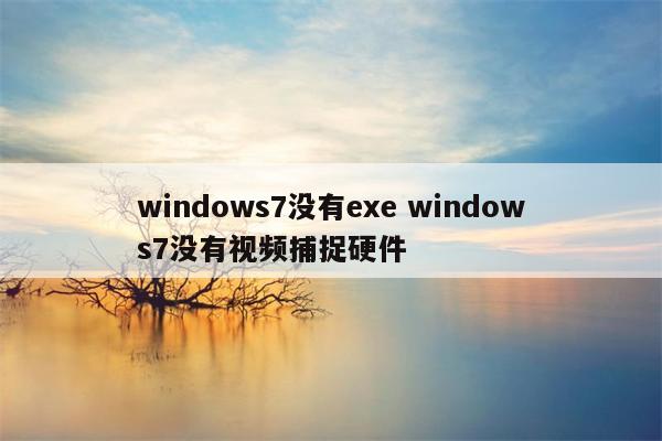 windows7没有exe windows7没有视频捕捉硬件