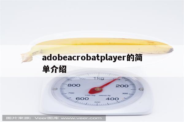 adobeacrobatplayer的简单介绍
