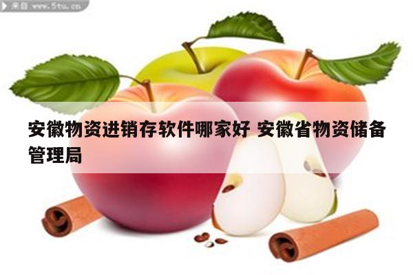 安徽物资进销存软件哪家好 安徽省物资储备管理局