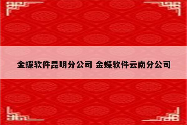 金蝶软件昆明分公司 金蝶软件云南分公司