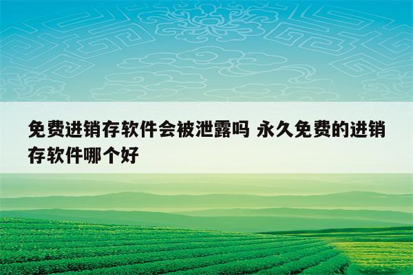 免费进销存软件会被泄露吗 永久免费的进销存软件哪个好