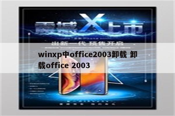 winxp中office2003卸载 卸载office 2003